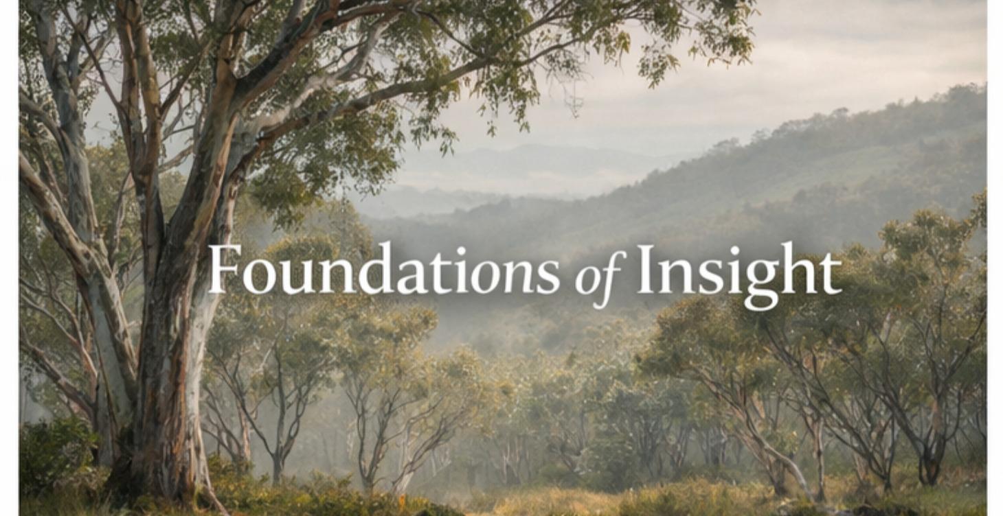 Foundations of Insight
