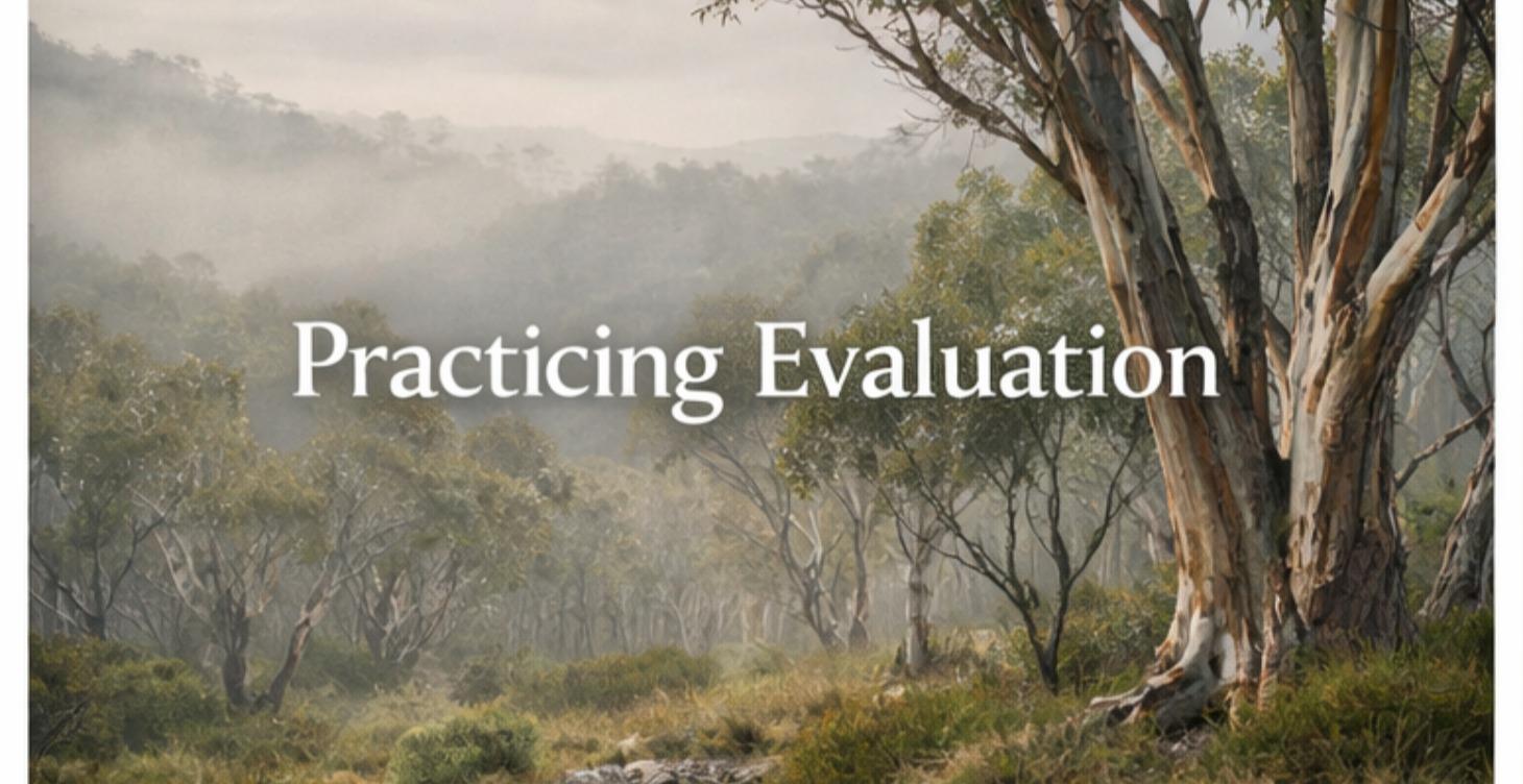 Practicing Evaluation