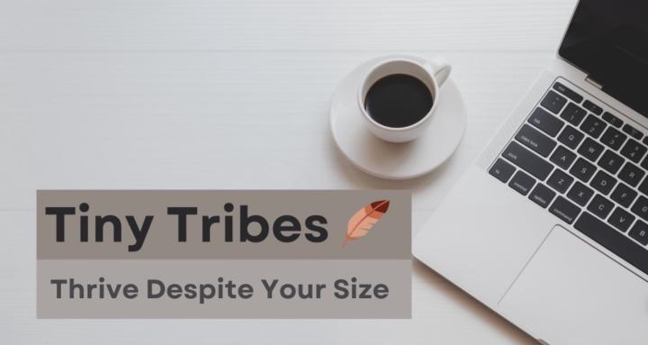 Tiny Tribes🪶
