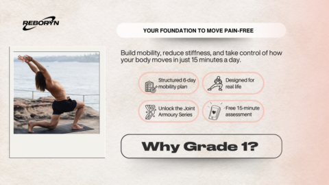 Become Pain & Stiffness Free gallery image