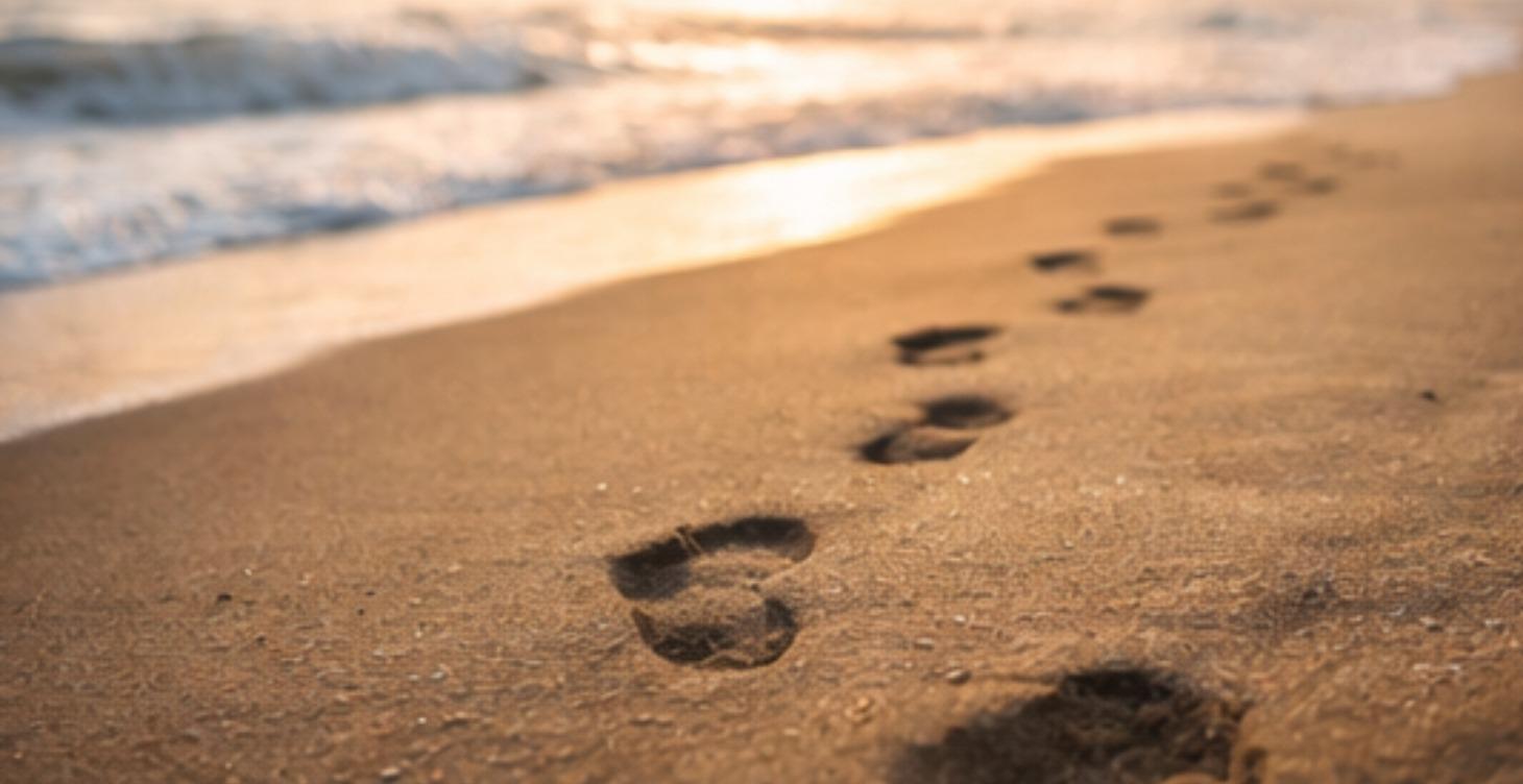 Lesson 6: Trusting Jesus One Step at a Time