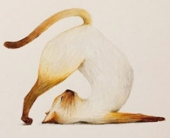Mia Munshi