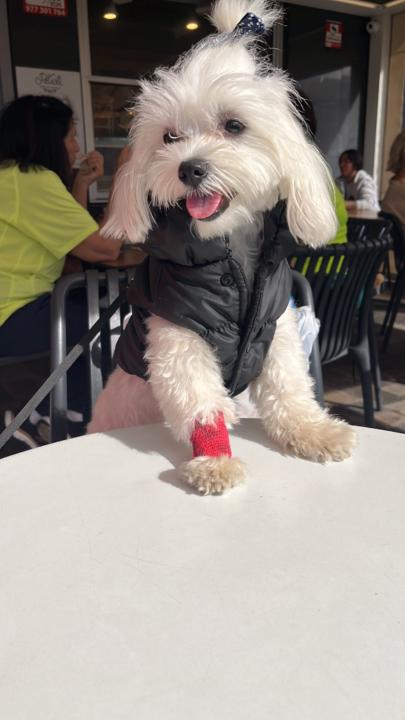 María fernanda Aya monzon