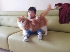 Ssu Hsien Tsai