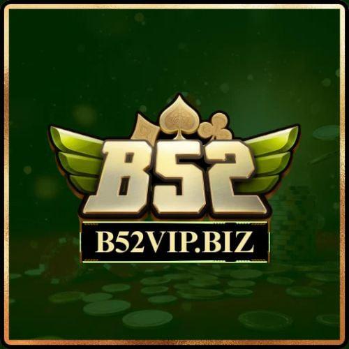BVip Biz