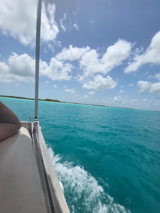 Alma Patricia Lopez Hernandez