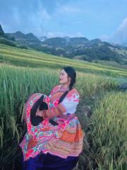 Dế Giàng