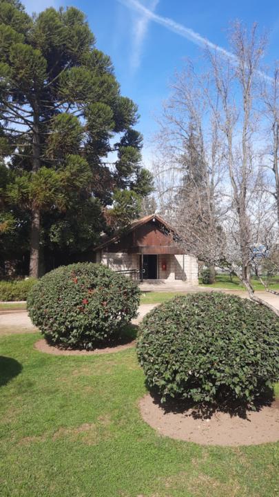 Shirley Carol Vidaurre