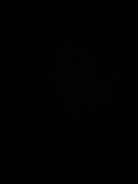 ליאור אטקין