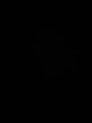 ליאור אטקין