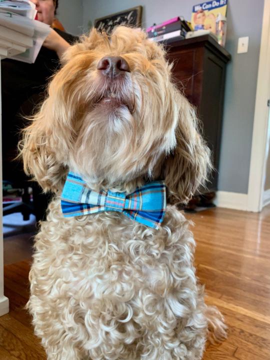 Cooper Muhlbauer