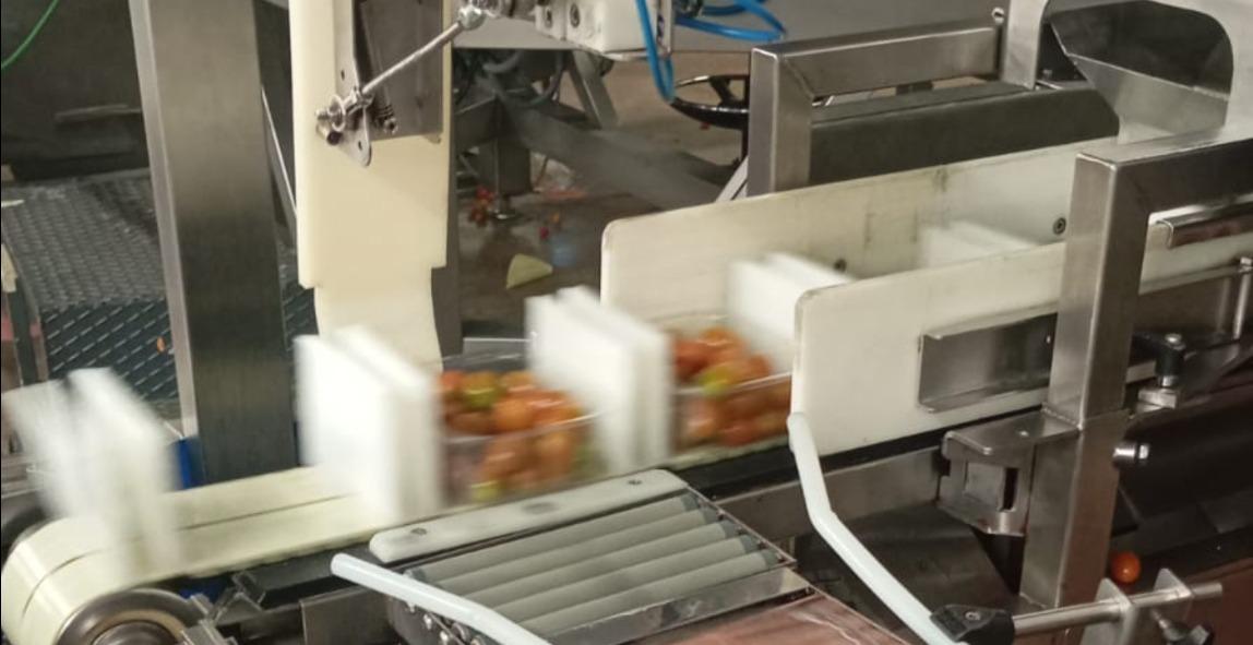Automated Tomato Packaging Line