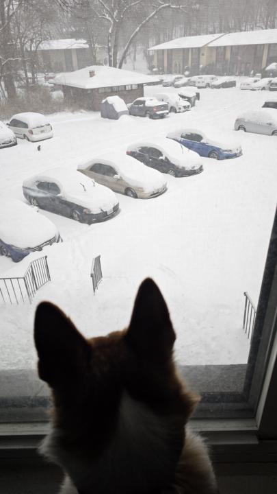 Blizzard of January 2026.