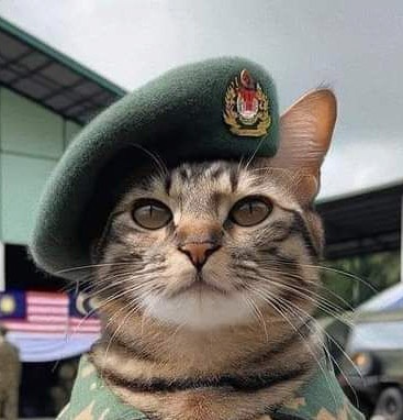 Kim Jung Uns Barber