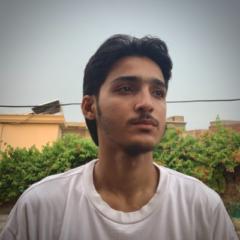 Muhammad Haris