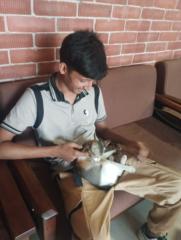 Rabiul Shuvo