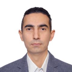 Mehmet Cem Gunes