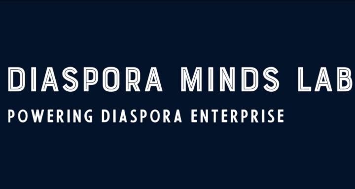 Diaspora Minds Lab