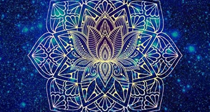 The Conscious Rebuild