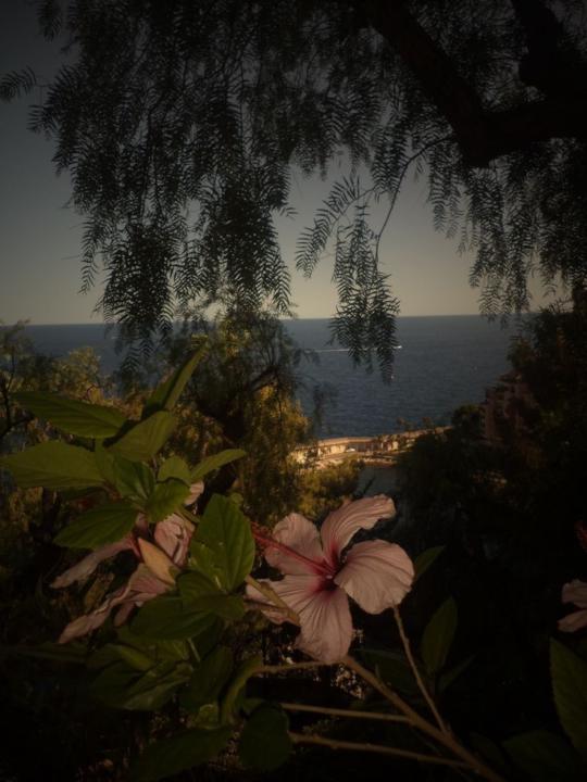 Nigar Bayramzadə