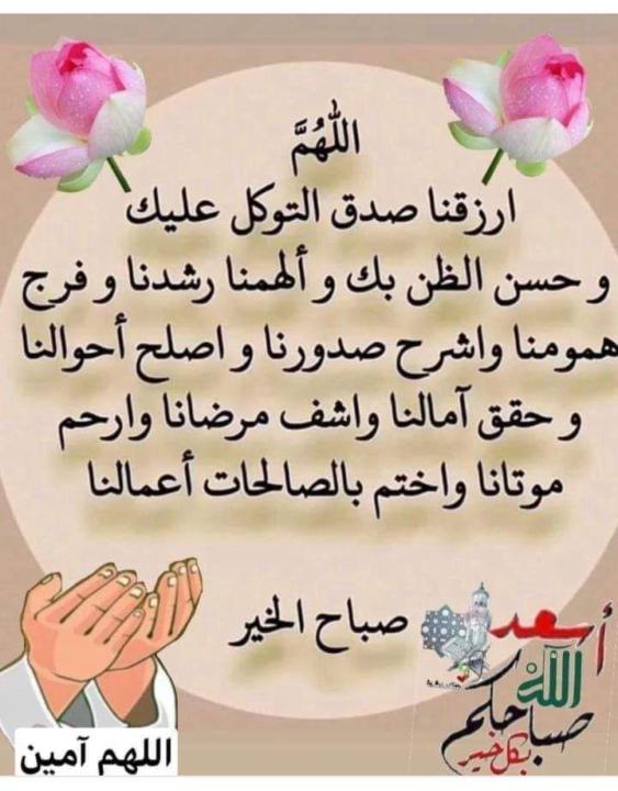 Salaheddine Khlifi