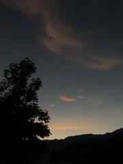 瑜恩 林