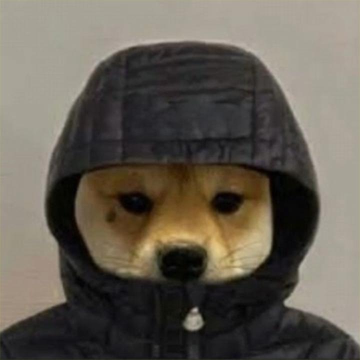 Billionaire Puppy