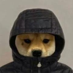 Billionaire Puppy