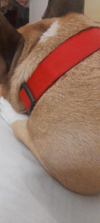 Noemi Escudero Hernández