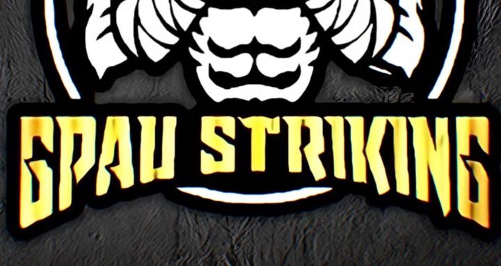 GPAU  K-1 Strikers 