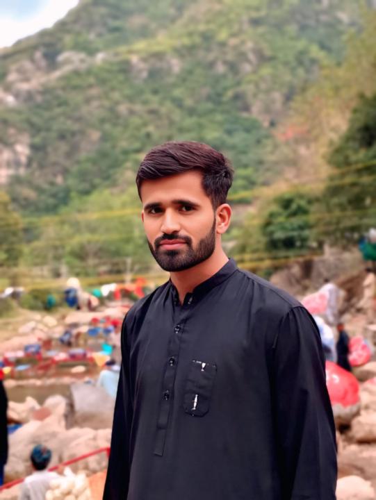 Muhammad ameer Hamza