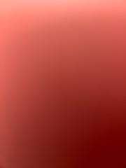 Harpreet Singh Makkar