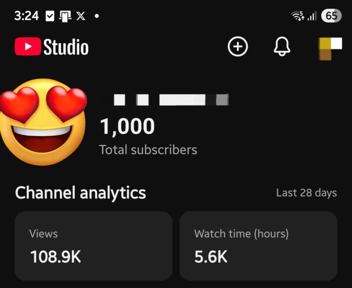 13 Days to 1K Subs & 100K Views — We Build It For You
