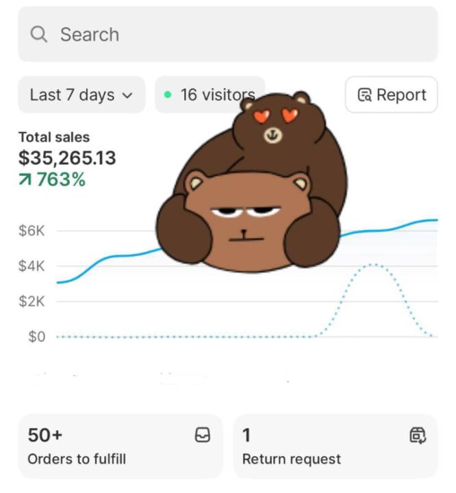 MAKE MONEY FROM SHOPIFY DROPSHIPPING BUSINESS 