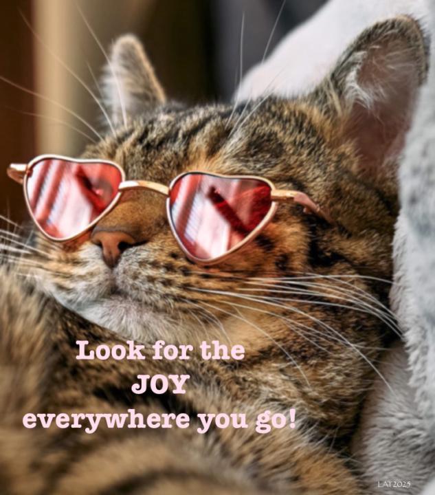 All the cool Cats Know 