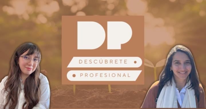 Descúbrete Profesional