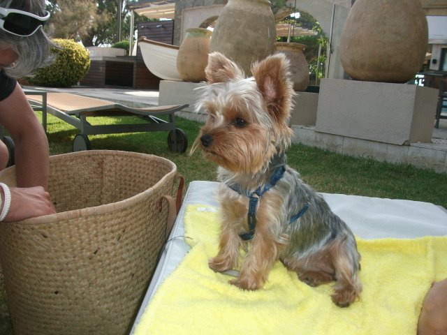 Oscar Marcos