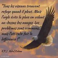 Yonnel aldane Djoumba Bassamboma