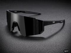 Felipe Andres Gomez Lugo