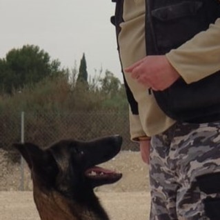 Luis García Alvarez