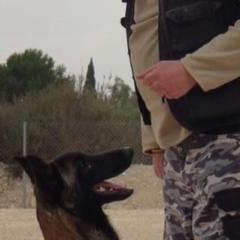 Luis García Alvarez