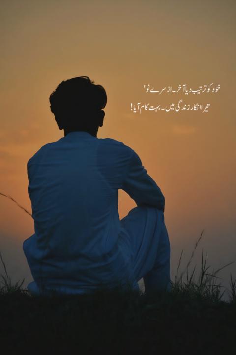Kashi Ali