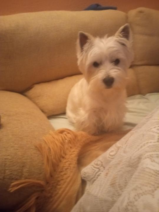 Laura Fernández Rodríguez