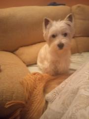 Laura Fernández Rodríguez