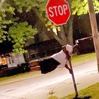 Sir Skrapy Zerotasixty