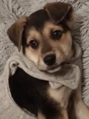 Μιχάλης Γιαννακόπουλος