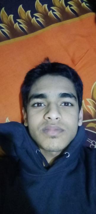 Md. Arafat Hamza