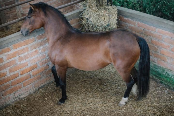 Edwin Rodríguez Zuleta