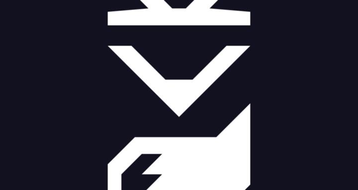 Movement Mentor Program