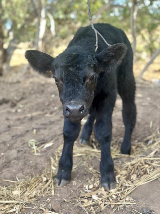 Where it all started